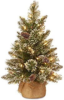 National Tree Company Pre-lit Artificial Mini Christmas Tree | Includes Small LED Lights, White Tipped, Glitter Branches C... image